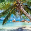 Alipson - Tropical Beach - 1000 Piece Jigsaw Puzzle Fashion