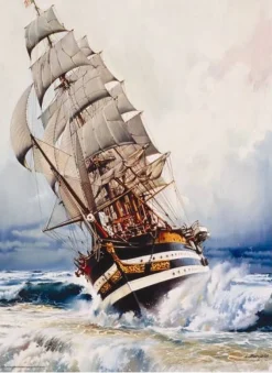 Anatolian - Black Pearl - 1000 Piece Jigsaw Puzzle New