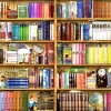 Anatolian - Bookshelves - 1000 Piece Jigsaw Puzzle Discount