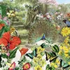 Anatolian - Peacock in the Garden - 1000 Piece Jigsaw Puzzle New