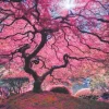 Anatolian - Pink Tree - 1000 Piece Jigsaw Puzzle Online