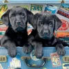 Anatolian - Travel Labs - 500 Piece Jigsaw Puzzle Best
