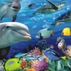 Anatolian - Undersea - 1000 Piece Jigsaw Puzzle Fashion