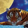 Art Puzzle - Moon Tiger - 500 Piece Jigsaw Puzzle Clearance