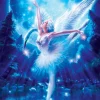 Art Puzzle - Swan Lake Ballet - 1000 Piece Jigsaw Puzzle Hot