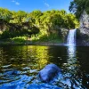 Bluebird - Bassin de la Paix, La Réunion, France - 1000 Piece Jigsaw Puzzle Discount