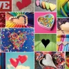 Bluebird - Collage - Love in Color - 1000 Piece Jigsaw Puzzle Sale