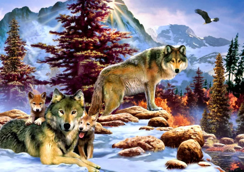 Bluebird Puzzle 70290 A New Dawn 1000 piece jigsaw puzzle Clearance