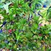 Bluebird Puzzle - Birds - 1500 Piece Jigsaw Puzzle Fashion