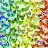 Bluebird Puzzle - Butterflies - 1000 Piece Jigsaw Puzzle Sale