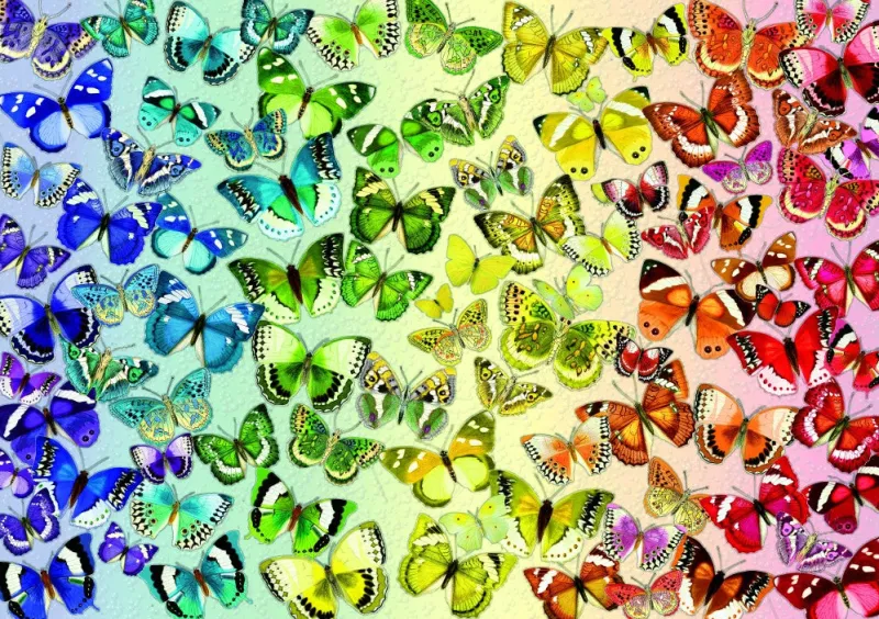 Bluebird Puzzle - Butterflies - 1000 Piece Jigsaw Puzzle Sale