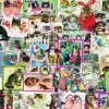 Bluebird Puzzle - Cats - 1500 Piece Jigsaw Puzzle Hot