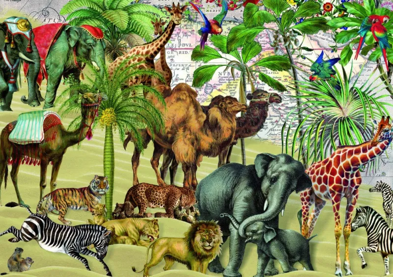 Bluebird Puzzle - Desert - 1000 Piece Jigsaw Puzzle Best