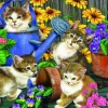Bluebird Puzzle - Garden Mischief - 1000 Piece Jigsaw Puzzle Best