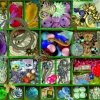 Bluebird Puzzle - Green Collection - 1000 Piece Jigsaw Puzzle New