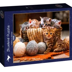 Bluebird Puzzle - Kittens in Basket - 1000 Piece Jigsaw Puzzle Hot