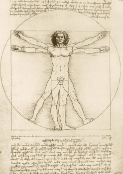 Art by Bluebird Bluebird Puzzle - Leonardo Da Vinci - The Vitruvian Man, 1490 - 1000 Piece Jigsaw Puzzle Discount