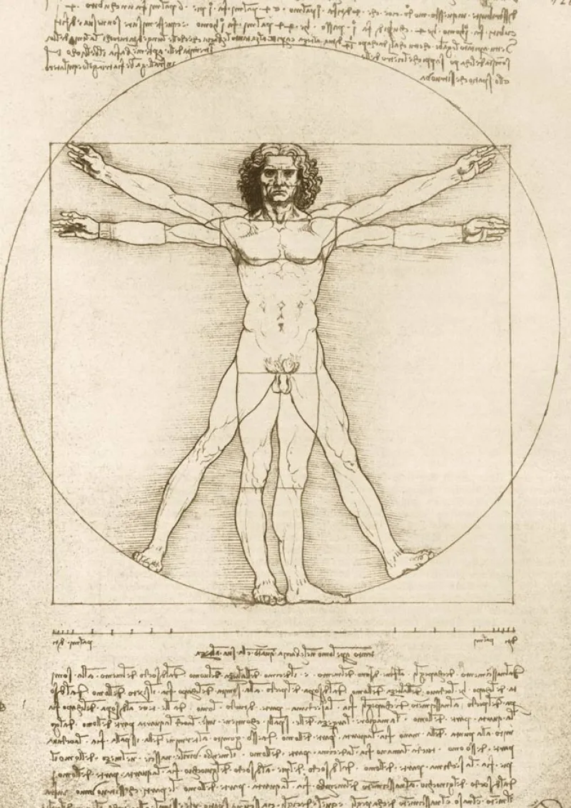 Art by Bluebird Bluebird Puzzle - Leonardo Da Vinci - The Vitruvian Man, 1490 - 1000 Piece Jigsaw Puzzle Discount