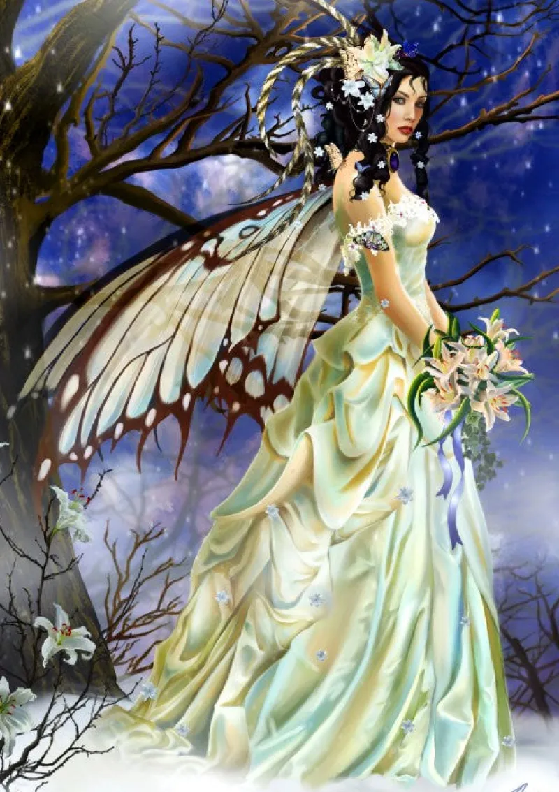Bluebird Puzzle - Mist Bride - 1000 Piece Jigsaw Puzzle Sale