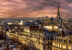 Bluebird Puzzle - Paris, France - 1000 Piece Jigsaw Puzzle New