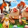 Bluebird Puzzle - Petting Farm - 500 Piece Jigsaw Puzzle Outlet
