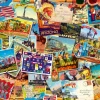 Bluebird Puzzle - Postcard (USA) - 1000 Piece Jigsaw Puzzle Hot