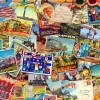 Bluebird Puzzle - Postcard (USA) - 3000 Piece Jigsaw Puzzle Fashion