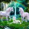 Bluebird Puzzle - Rainbow Unicorn Family - 1000 Piece Jigsaw Puzzle Outlet