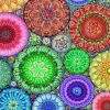 Bluebird Puzzle - Rose Window - 1000 Piece Jigsaw Puzzle Hot