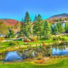 Bluebird Puzzle - Stowe, Vermont, USA - 1000 Piece Jigsaw Puzzle Discount