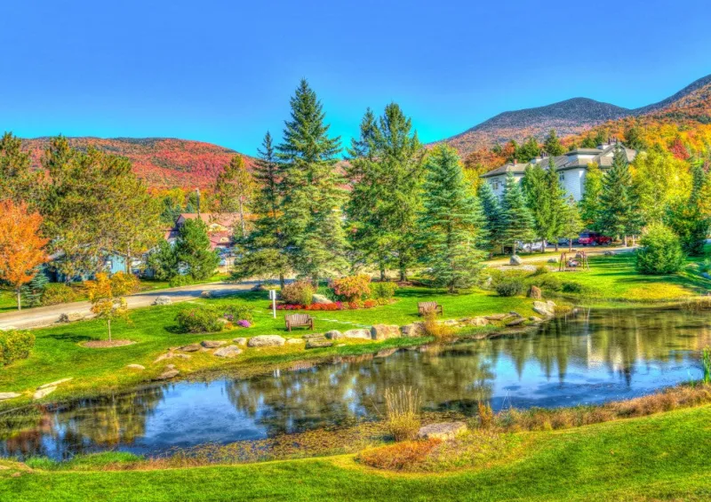 Bluebird Puzzle - Stowe, Vermont, USA - 1000 Piece Jigsaw Puzzle Discount