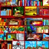 Bluebird Puzzle - The Library The Travel Section - 1000 Piece Jigsaw Puzzle Clearance