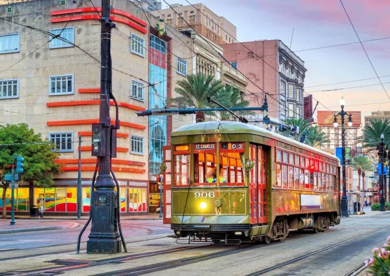 Bluebird Puzzle - Tramway, New Orleans, USA - 1000 Piece Jigsaw Puzzle Discount