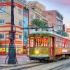 Bluebird Puzzle - Tramway, New Orleans, USA - 1000 Piece Jigsaw Puzzle New