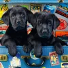 Bluebird Puzzle - Travel Labs - 1000 Piece Jigsaw Puzzle Online