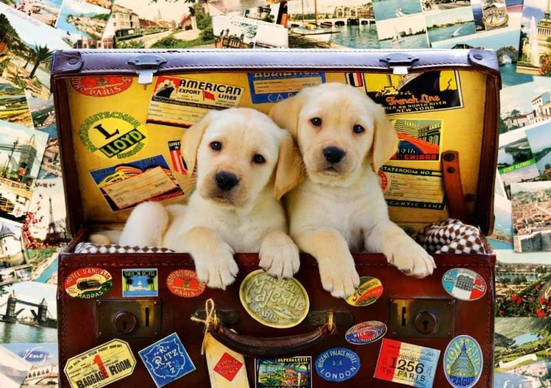 Bluebird Puzzle - Two Travel Puppies - 1000 Piece Jigsaw Puzzle New