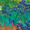 Art by Bluebird Bluebird Puzzle - Vincent Van Gogh - Irises, 1889 - 1000 Piece Jigsaw Puzzle Outlet