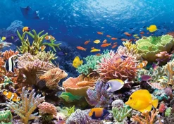 Castorland - Coral Reef - 1000 Piece Jigsaw Puzzle New