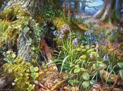 Castorland - From Rusland Woods - 2000 Piece Jigsaw Puzzle Discount