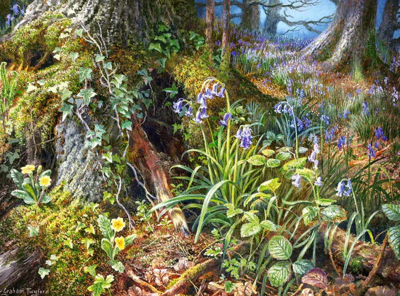 Castorland - From Rusland Woods - 2000 Piece Jigsaw Puzzle Discount