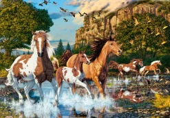 Castorland - Horse Wonderland - 1000 Piece Jigsaw Puzzle Outlet