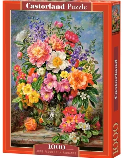 Castorland - June Flowers in Radiance - 1000 Piece Jigsaw Puzzle New