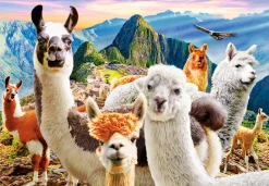 Castorland - Llamas Selfie - 1000 Piece Jigsaw Puzzle Clearance