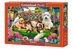 Castorland - Pets in the Park - 1000 Piece Jigsaw Puzzle Online