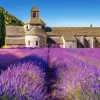 Castorland - Provence, France - 1000 Piece Jigsaw Puzzle Clearance