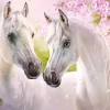 Castorland - Romantic Horses - 1000 Piece Jigsaw Puzzle Clearance