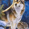 Castorland - Sentinel - 1000 Piece Jigsaw Puzzle Best