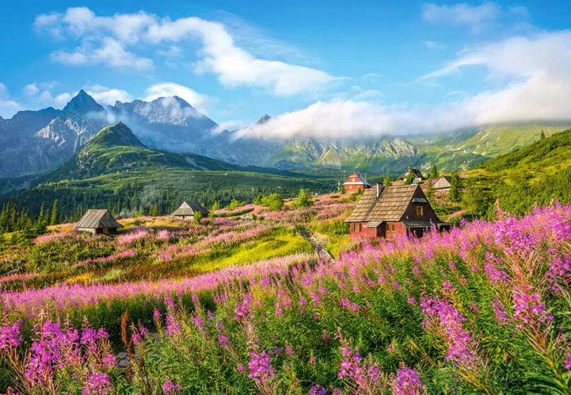 Castorland - Tatras, Poland - 1000 Piece Jigsaw Puzzle Sale