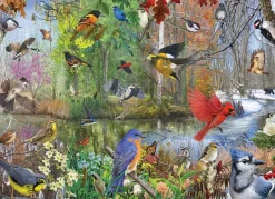 Cobble Hill - Birds of the Season - 1000 Piece Jigsaw Puzzle Fashion