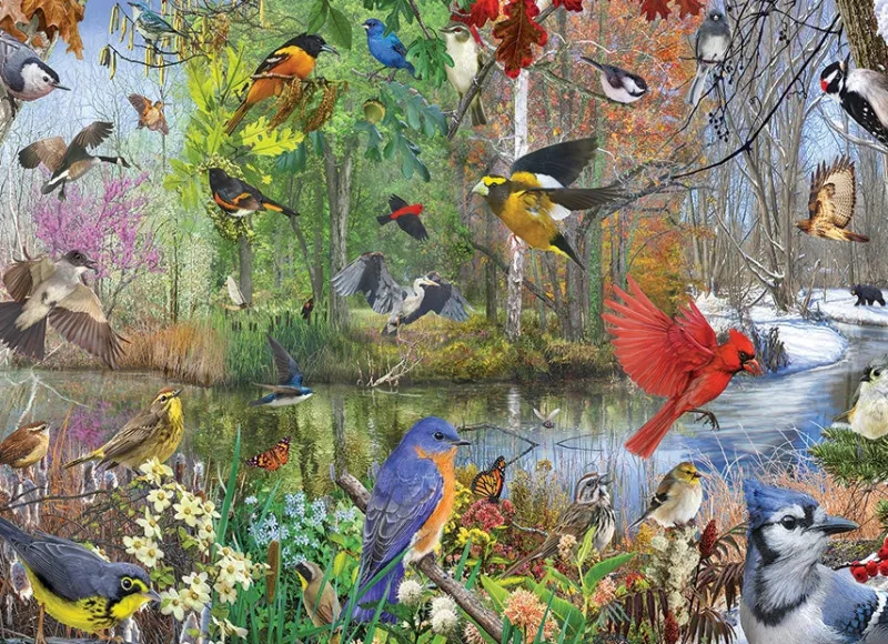 Cobble Hill - Birds of the Season - 1000 Piece Jigsaw Puzzle Fashion